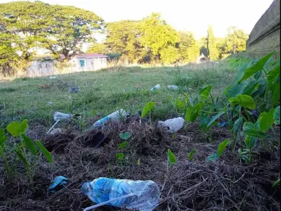 缅甸古城遗迹内出现大量吸毒人员，引发当地民众担忧