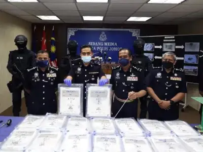 大马警方捣毁一跨国贩毒集团，冷冻鱼箱藏毒 走私至中国香港