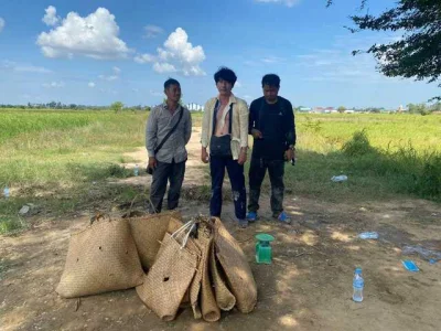 柬埔寨8名赌徒被拘4天后获释