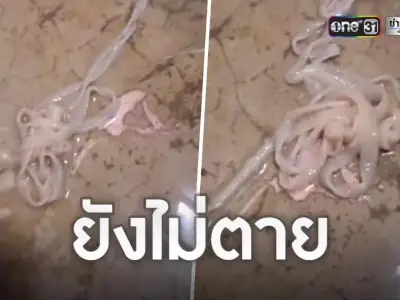可怕 ！爱吃生肉的泰男，屁股钻出一条近 2 米长的虫！