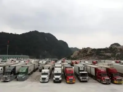 越南：努力化解中越边境地区口岸货物拥堵问题