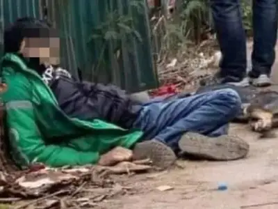 偷狗不成反丧命！越南一名男子在偷狗时被狗主人打死