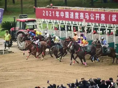 赛马彩票落户武汉，前路几何？
