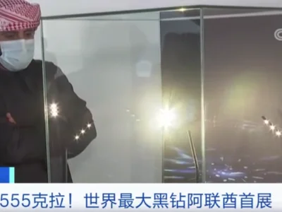 超555克拉！预估价约合3200万元人民币！全球最大黑钻亮相阿联酋