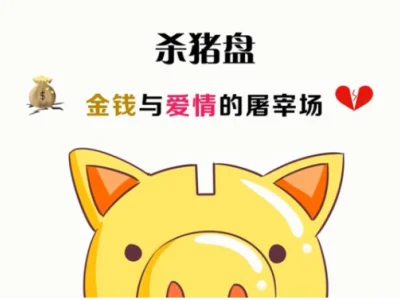 宿州：缅北“杀猪盘”诈骗 又有四人落网