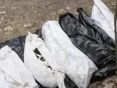 如果我死在柬埔寨，不希望父母来收尸，担心他们受委屈…