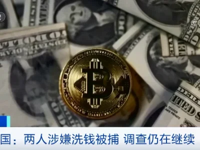 追缴229亿“赃款”！比特币“雌雄大盗”落网了