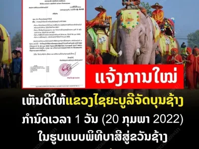 老挝沙耶武里又能举行大象节了，2月20日举行大象拴线仪式