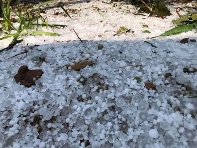 越南山罗省发生冰雹灾害，民房和农作物严重受损