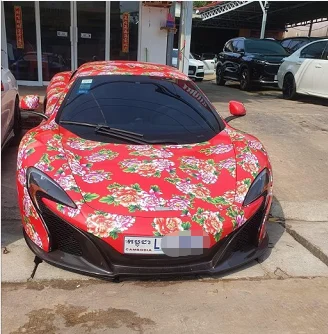 柬埔寨百万豪车“身披”东北大花袄，太抢眼了！