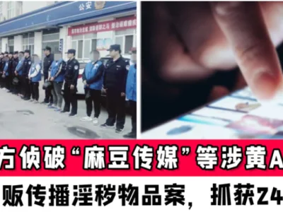 “91视频”、“麻豆传媒”拍摄团队被抓！拍摄淫秽视频50余部，牟利500余万元