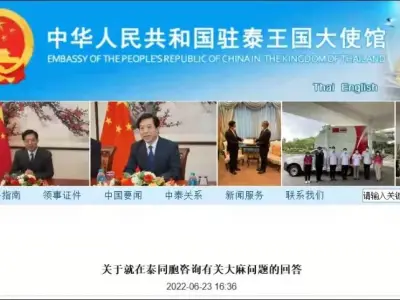 泰国喝口汤，回国蹲班房？泰国大麻合法化，真有这么可怕吗？
