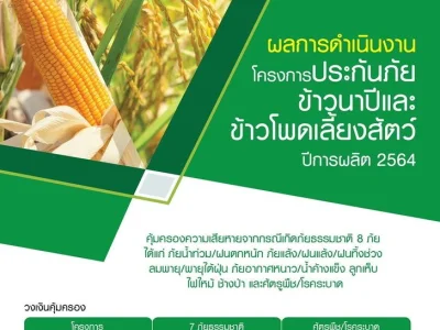自然灾害不断！2022上半年泰国农户获赔超15亿泰铢保额！