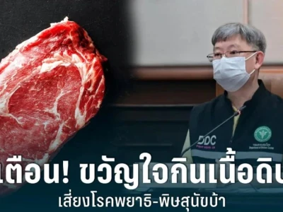 泰国疾控厅：不要吃生肉！避免感染寄生虫病-狂犬病的风险