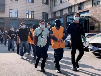 诈死潜逃东南亚某国，被中国警方引渡回国，剧情堪比金庸小说
