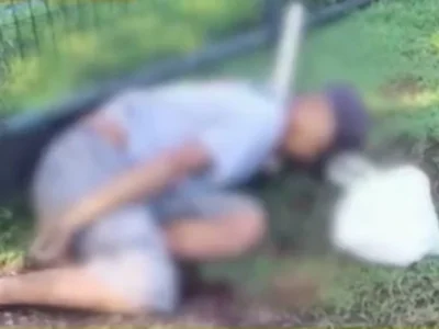菲律宾一农场保安遭枪杀