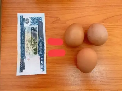 3个鸡蛋1万老币? 在老华人日子过的好吗? 8月通胀率超30%再破历史记录！生活太难了…