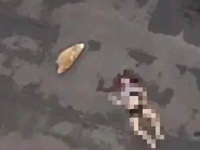 马卡蒂市一女子凌晨跳楼身亡，其中国男友睡醒称：不知情