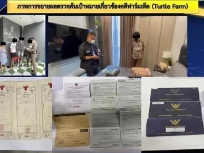 泰国新骗局:投资种大麻，包你赚到翻！