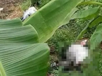 在妻子失踪一天后，路边草丛里出现了用胸罩绑住手的女性尸体..判决被告人死刑！