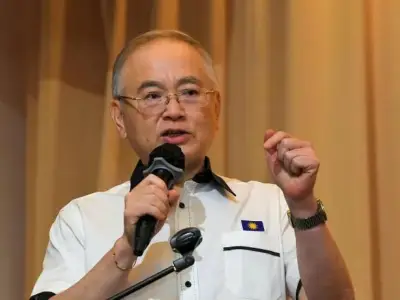 魏家祥:诱骗中国人钱财，大马华人中文流利被相中