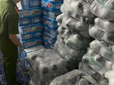 胡志明市最大批发市场 近12吨中文包装的蔬菜 涉嫌走私被扣押