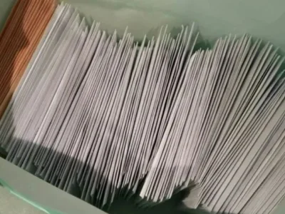 旅居中国海外大马选民投票，上海净选盟收集超千张选票