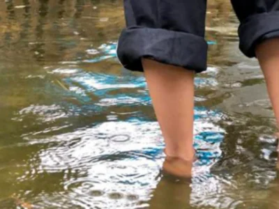 菲一地7人死于鼠尿病
