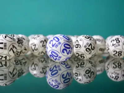 世界杯带火彩票站：突击一个月，赚回两年房租