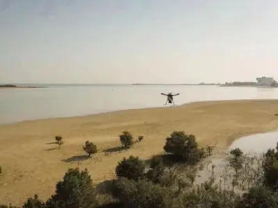 阿布扎比用无人机种植100万红树林种子