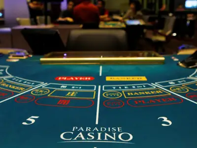 湖北团伙网上设赌博俱乐部疯狂敛财 参赌资金达2.5亿元 16名犯罪嫌疑人获刑