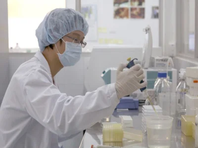 世卫组织：密切关注柬埔寨人感染禽流感病例，敦促各国提高警惕