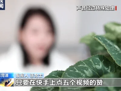 打击电信网络诈骗 山东菏泽警方破获电信网络诈骗案