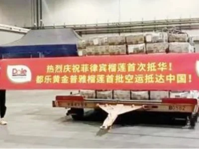 菲律宾榴莲通过南宁首次进入中国
