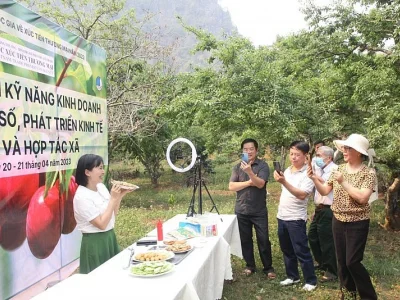 越南合作社学习在抖音上直播带货