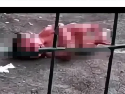 湖南女大学生厕所产子后从2楼丢下？画面曝光：职校女就这么不自爱？