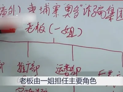 福建籍电诈“一姐”被抓，涉案超20亿，丈夫、父亲、兄弟共同作案