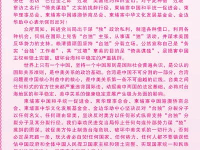 柬各华社社团联合声明强烈反对赖清德借“出访” 巴拉圭“过境”美国