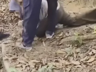 疑似被鬼附身！大马女子山上爬行？「中邪」如野兽吼叫