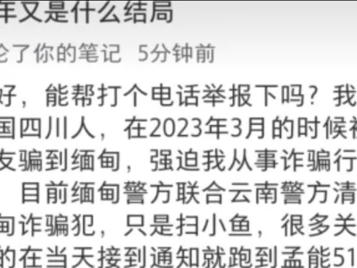 这次缅甸抓的都是小虾米？