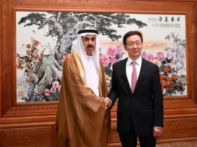 中国国家副主席会见阿联酋国民议会议长