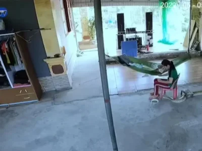 越南故事：蟒蛇乍现，越南妈妈逃路折返，为救宝宝，“拼了！”