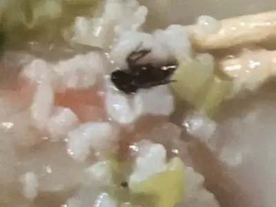 网友投稿：菲律宾凉心商家     潮粥道