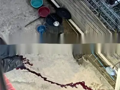 爆料：缅甸大其力宝龙园区有人承受不了折磨 ， 直接跳楼身亡？