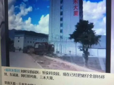 果敢恒安诈骗园区现已把猪仔全部转移到三禾大厦？数千人被囚禁？