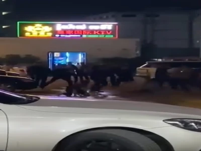 波贝中国人与KTV保安群殴