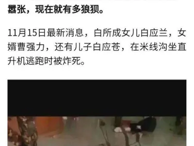 国内媒体报道：缅甸四大家族，白家儿子及女儿被炸身亡