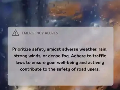 迪拜大雨！你的手机收到这条安全警报了吗？