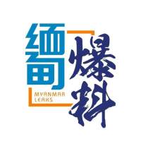 全缅见闻